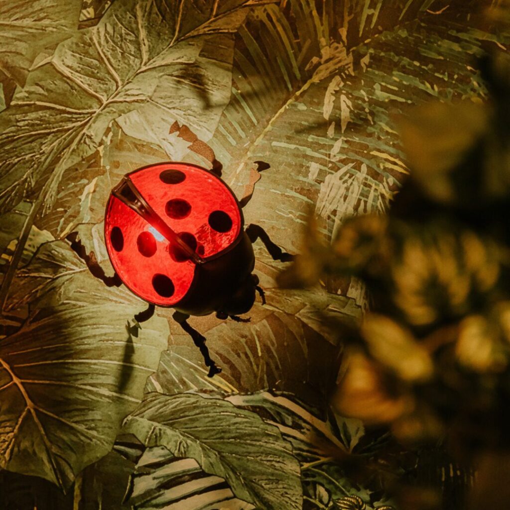ladybird glass light